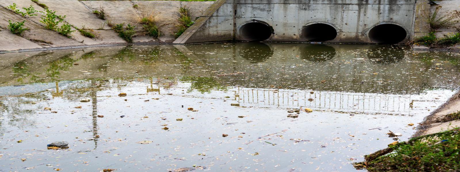 Sewage Cleanup in Kent